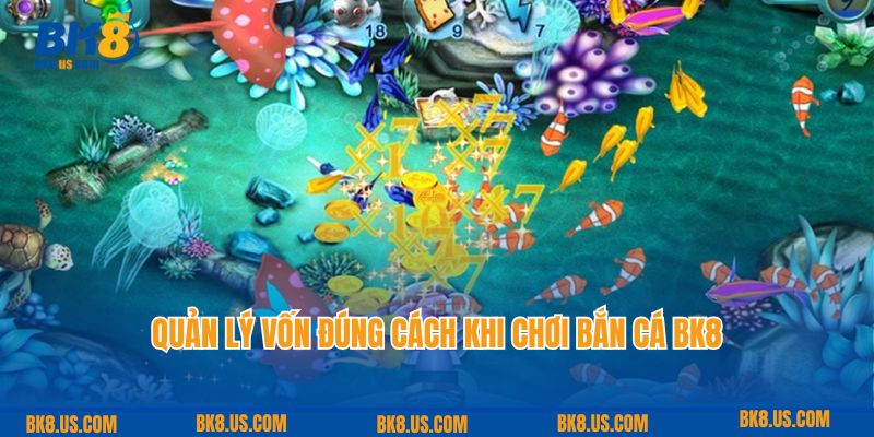 Quản lý vốn đúng cách khi chơi bắn cá BK8