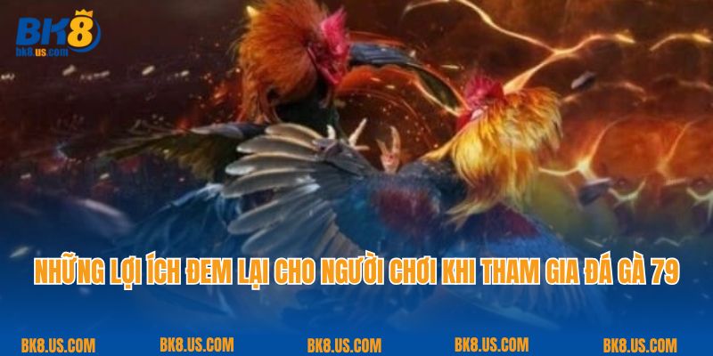 Những lợi ích đem lại cho người chơi khi tham gia đá gà 79