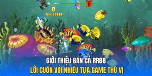 Bắn Cá RR88 - Khám Phá Đại Dương Ngập Tràn Phần Thưởng